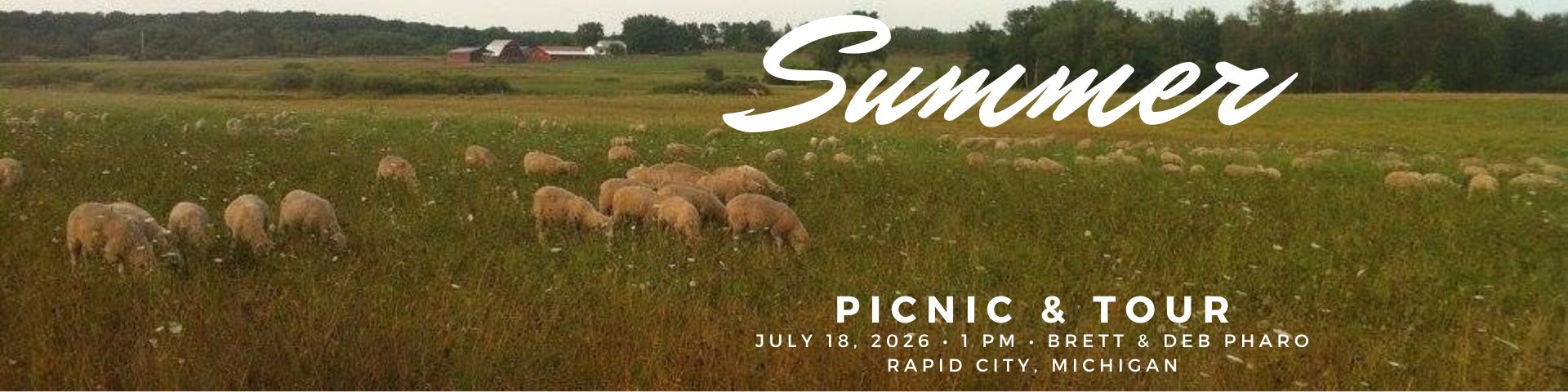 sheep in field to show summer picnic July 5, 2025